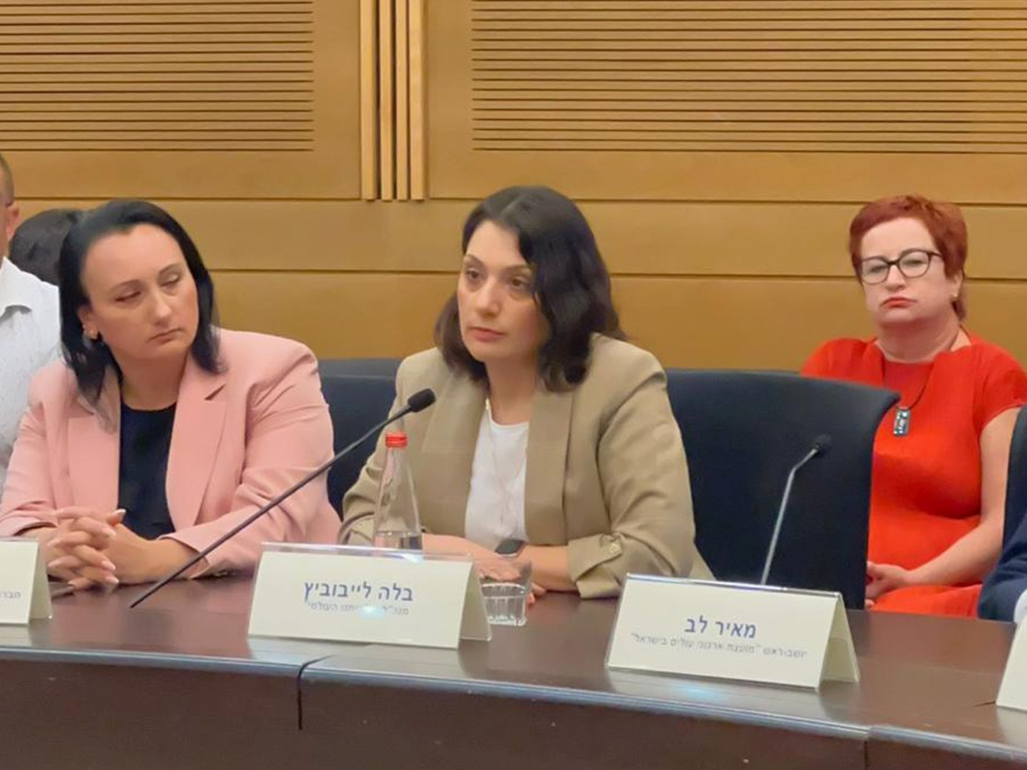 The CEO of World Israel Beytenu, Bella Lvovich, at One of Her Speeches in the Knesset